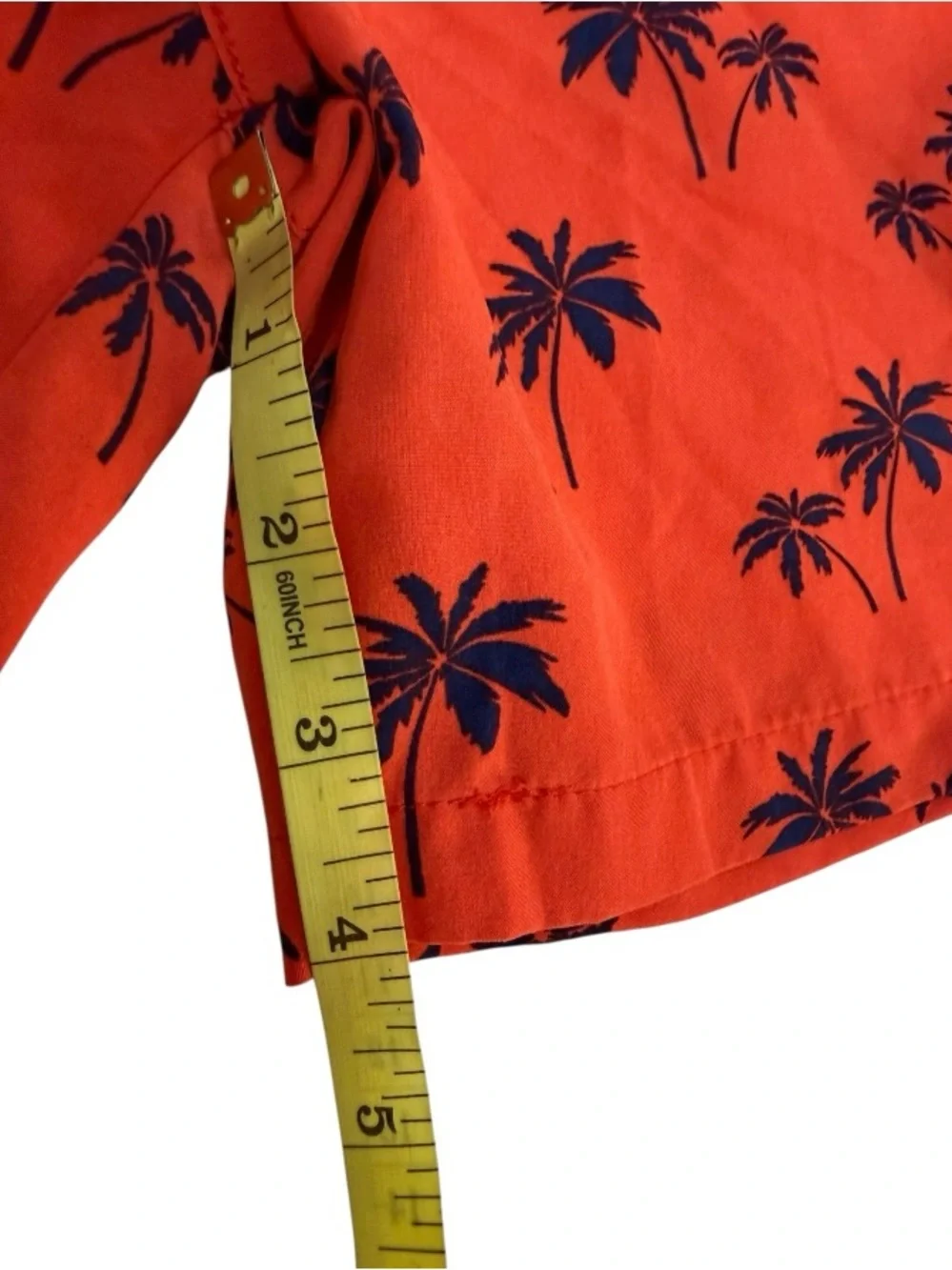 Public Record‎ Swim Trunks